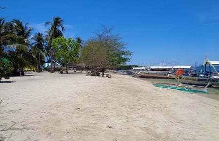 Puerto Princesa Palawan Philippines 4d3n Hotel with Tour package