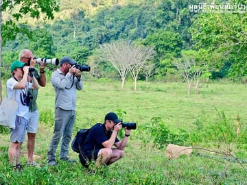 Watching the animals in the foundation