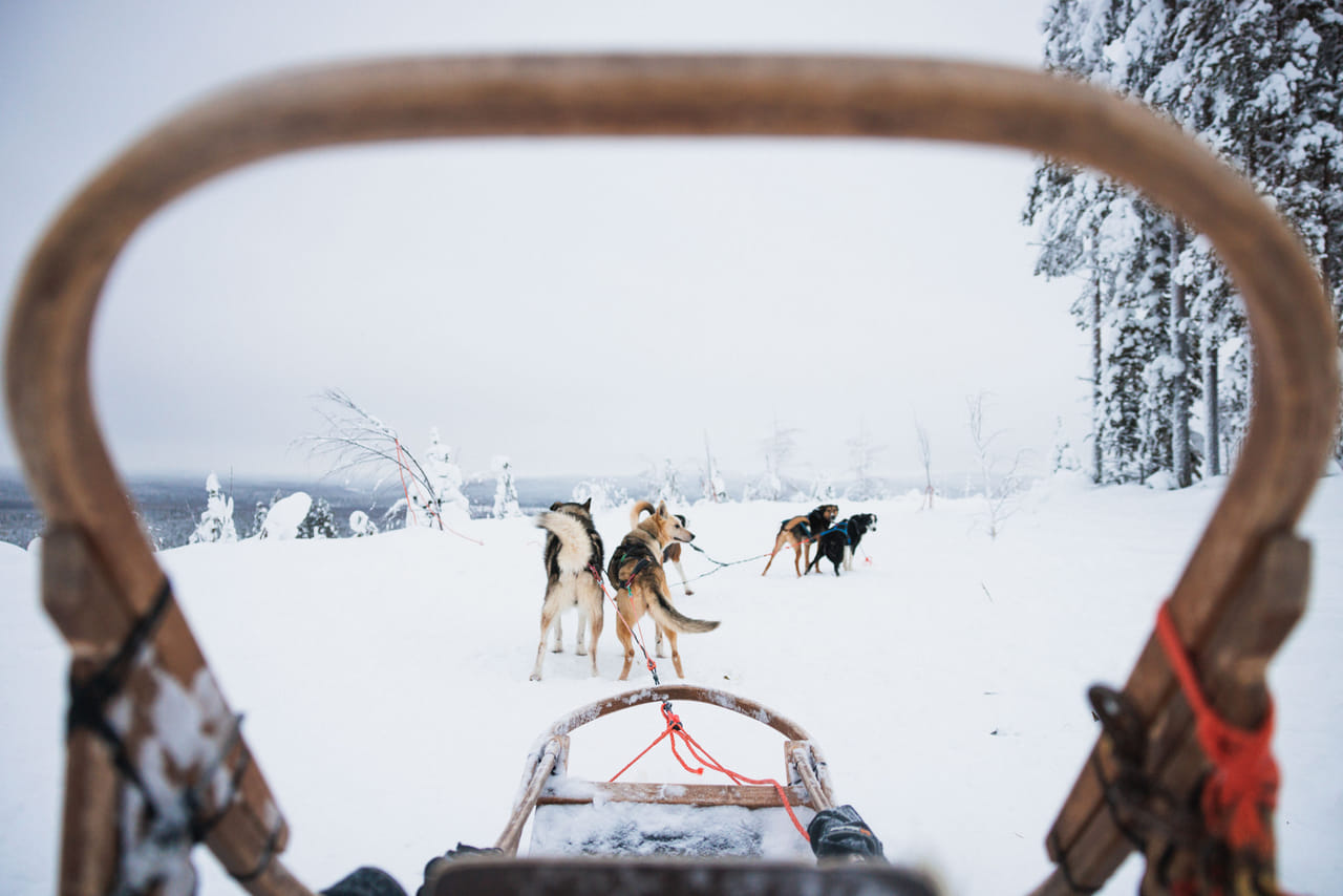 Self-Driving Husky Tour 7-kilometers 2