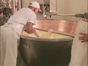 Parmesan Cheese Tour & Tasting in Modena 5