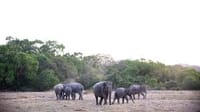 3 Days National Park Safari Trail  3