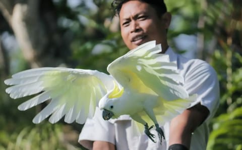 Bali Bird Park Admission Ticket for Birdwatching Experience