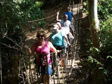 Zip line suspension bridges