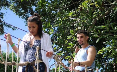 Zip Line Adventure and Sloth Park Tour in Roatan, Honduras