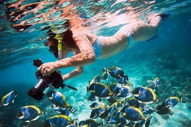 Snorkeling Sea Trip &amp; Diving Adventure with Lunch - Marsa Alam