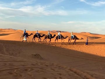 Camel ride