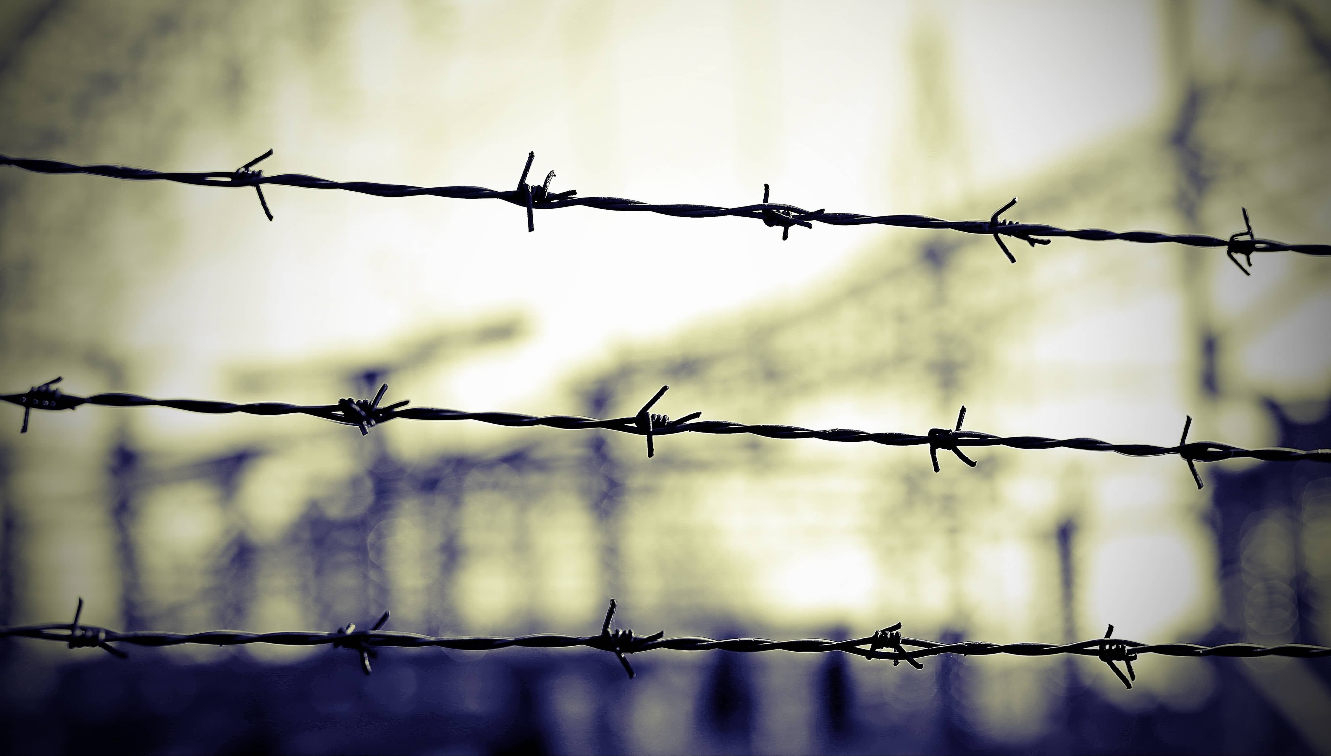 Auschwitz barbed wire fence