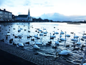 Reykjavik Highlights Tour in a Private SUV  1