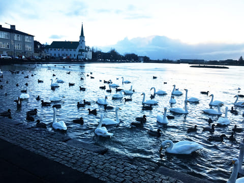 Reykjavik Highlights Tour in a Private SUV 