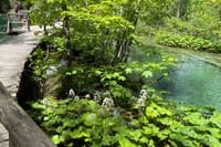 Private Day Trip: Stunning Plitvice Lakes and Rastoke from Zagreb 8