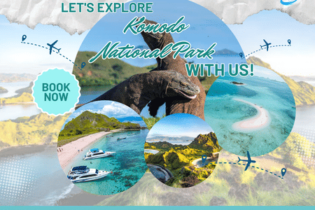 Full Day Tour of Komodo National Park