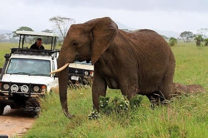 Private 3-Day Safari at Amboseli National Park from Nairobi