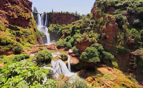 Guided Day Trip to Ouzoud Waterfalls from Marrakech