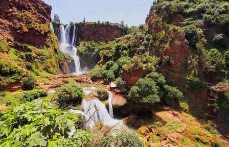 Guided Day Trip to Ouzoud Waterfalls from Marrakech