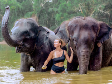 4-Hours Phuket Ethical Elephant Sanctuary Tour with Lunch