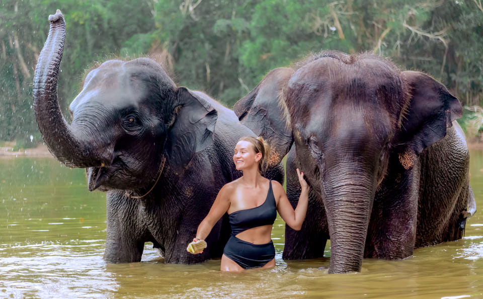 4-Hours Phuket Ethical Elephant Sanctuary Tour with Lunch