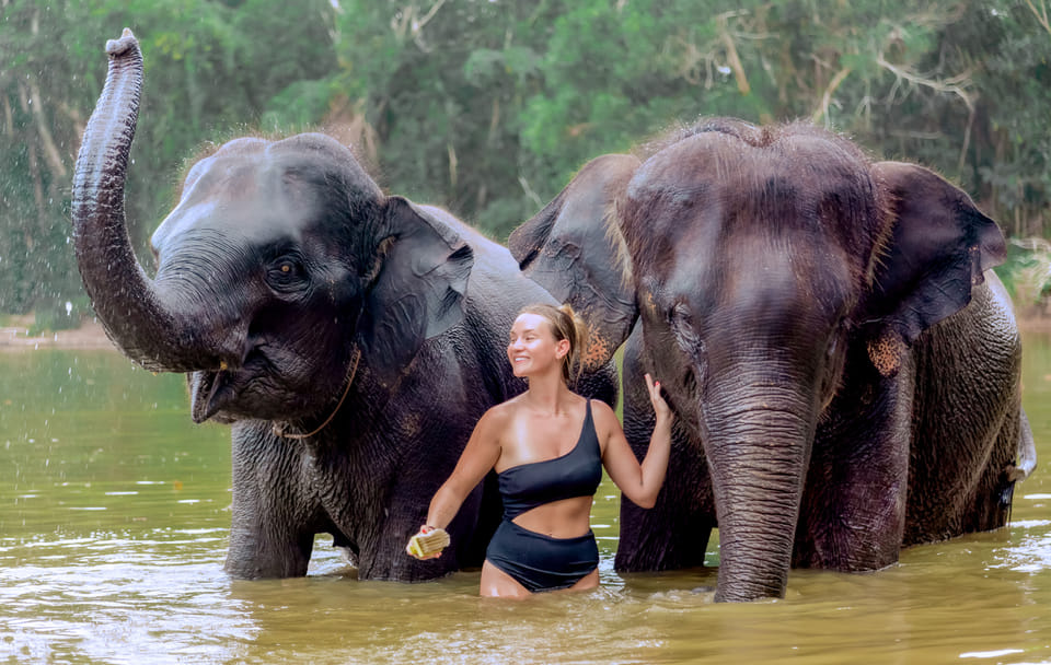4-Hours Phuket Ethical Elephant Sanctuary Tour with Lunch