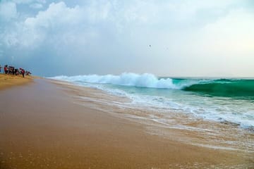 Kerala Nature and Cultural Tour in Alappuzha and Fort Kochi