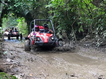 Roatan Eco Dune Buggy Sloths Safari Beach Adventure