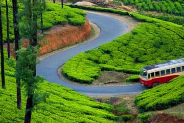 Kerala Luxury Package for 7-days from Cochin