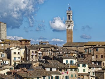 Discover Siena – Cathedral, Piazza del Campo & Medieval Treasures