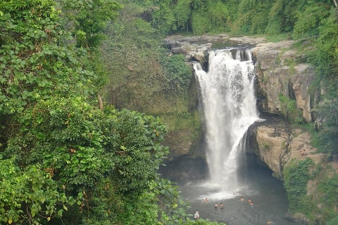 Bali Full-Day Traditional Village Sightseeing Trip All Inclusive 6