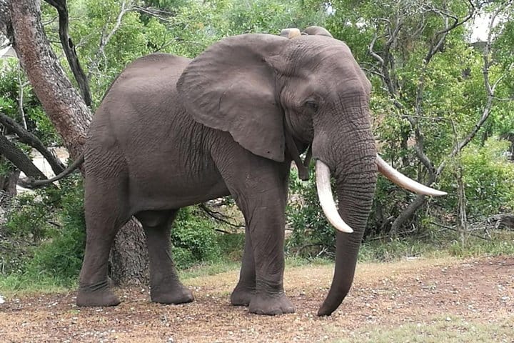 Things to do in Zimbabwe