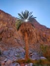 The wonders of Canyons with Camping overnight private from Sharm EL Sheikh 5