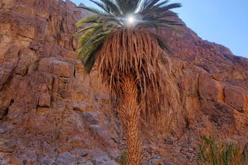 Overnight Camping and Canyon Exploration in Nuweiba, Egypt