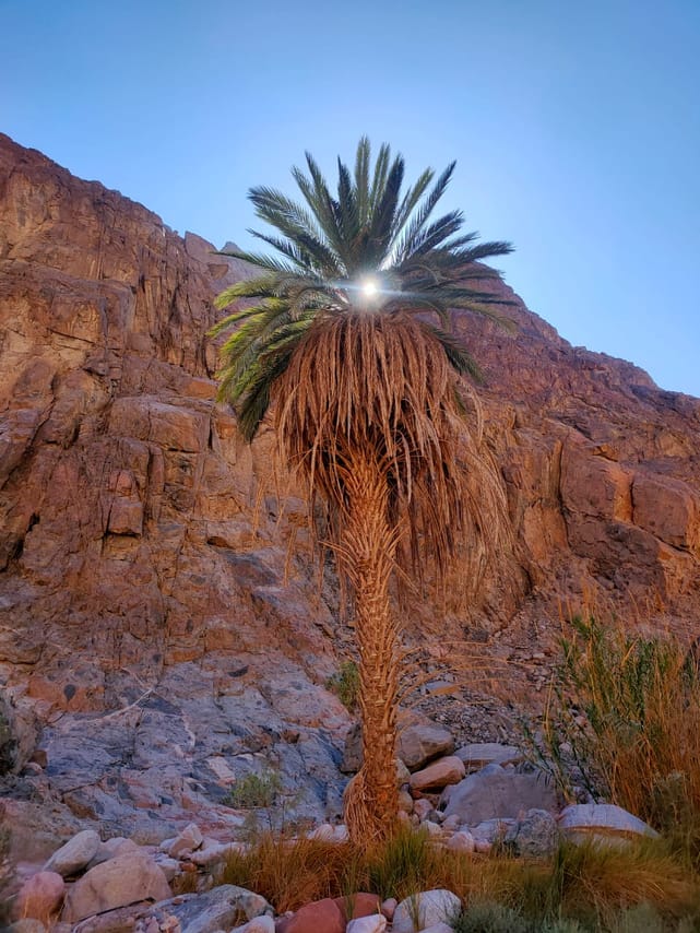 The wonders of Canyons with Camping overnight private from Sharm EL Sheikh 5