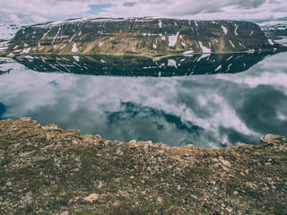 Midnight Sun & Arctic Foxes, photo 12