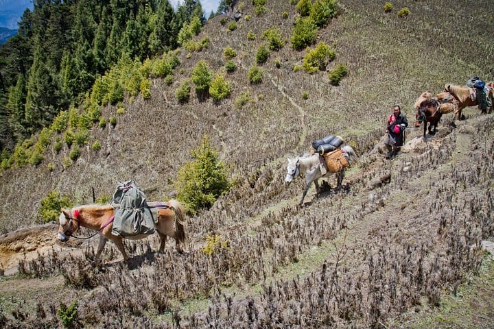 19 Days Mera Peak Climbing & Expedition – One Life-Changing Himalayan Adventure