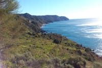 Tropical hike by MALAGA ACTIVA TOURS