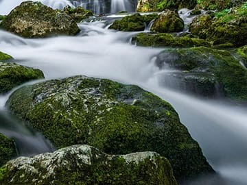Bishnu Dwar Hike in Shivapuri National Park from Kathmandu