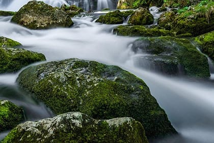 Bishnu Dwar (Shivapuri) Hike from Kathmandu