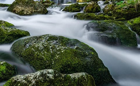 Bishnu Dwar Hike in Shivapuri National Park from Kathmandu
