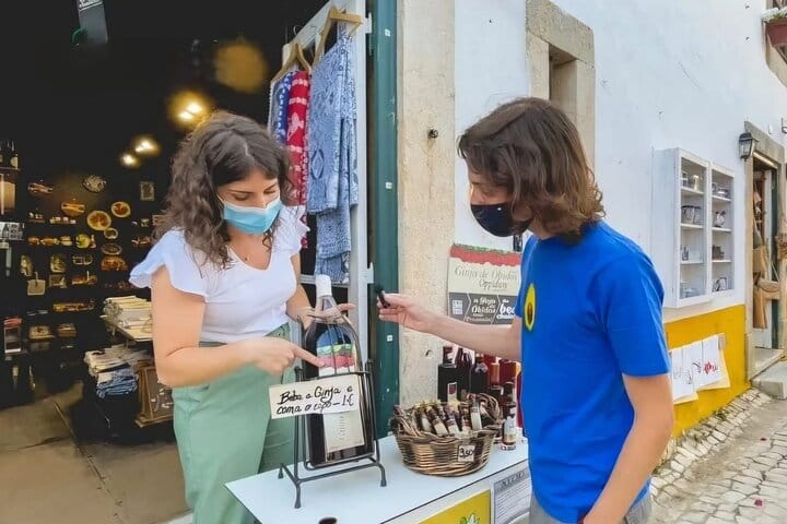 Lisbon to Porto with stops Aveiro-Fátima-Coimbra-Tomar-Nazaré-Óbidos