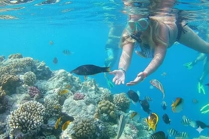 Sharm El Naga – Snorkeling with Turtles & Lunch – Hurghada