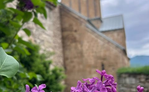 Premium Private Tour: Kazbegi, Gergeti and Chronicles of Georgia