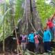 trekking in the jungle