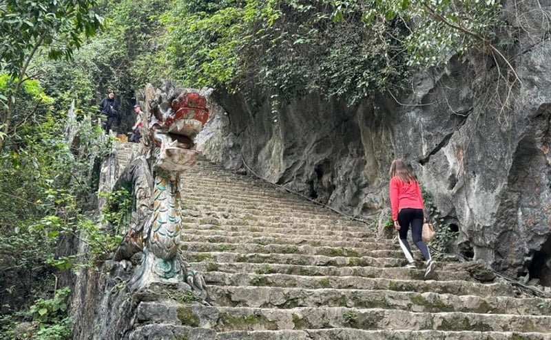Full Day Hoa Lu Tam Coc Mua Cave Tour From Hanoi