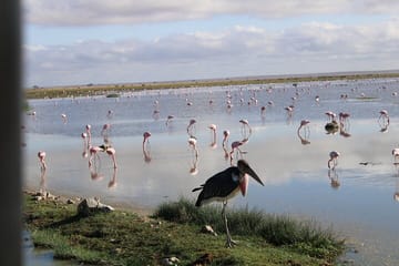 7 Days, 6 Nights Wildlife Photography and Birding Safari