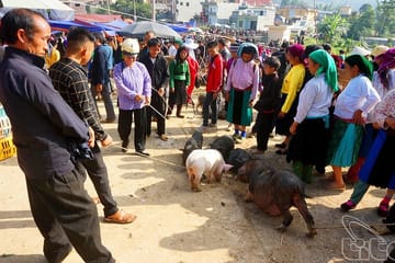 Off the Beaten Path North Vietnam 6 days 5 nights