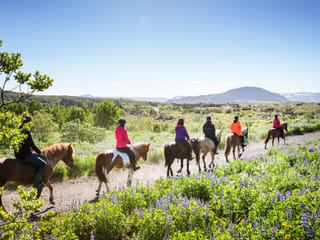 Lava Tour - Horseback Riding through the Lava Fields, photo 7