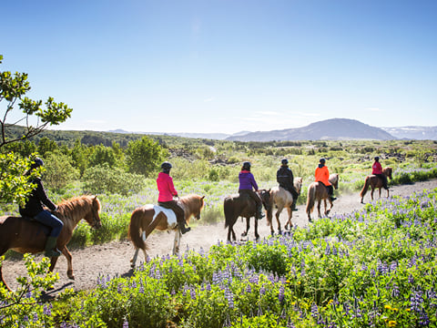 Lava Tour - Horseback Riding through the Lava Fields, photo 8