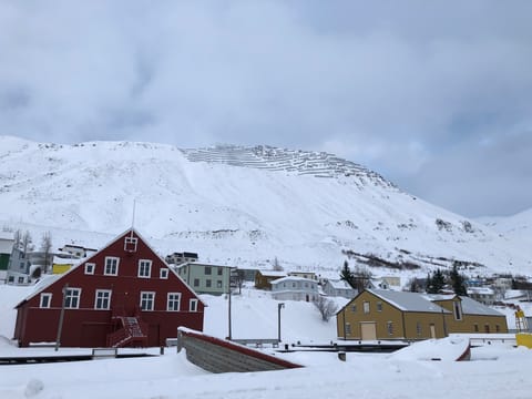 Private Arctic Coastline and Culture, photo 3