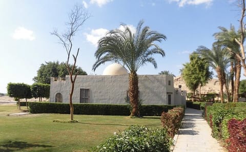 King Tut Tomb and Carter House Private Tour in Luxor