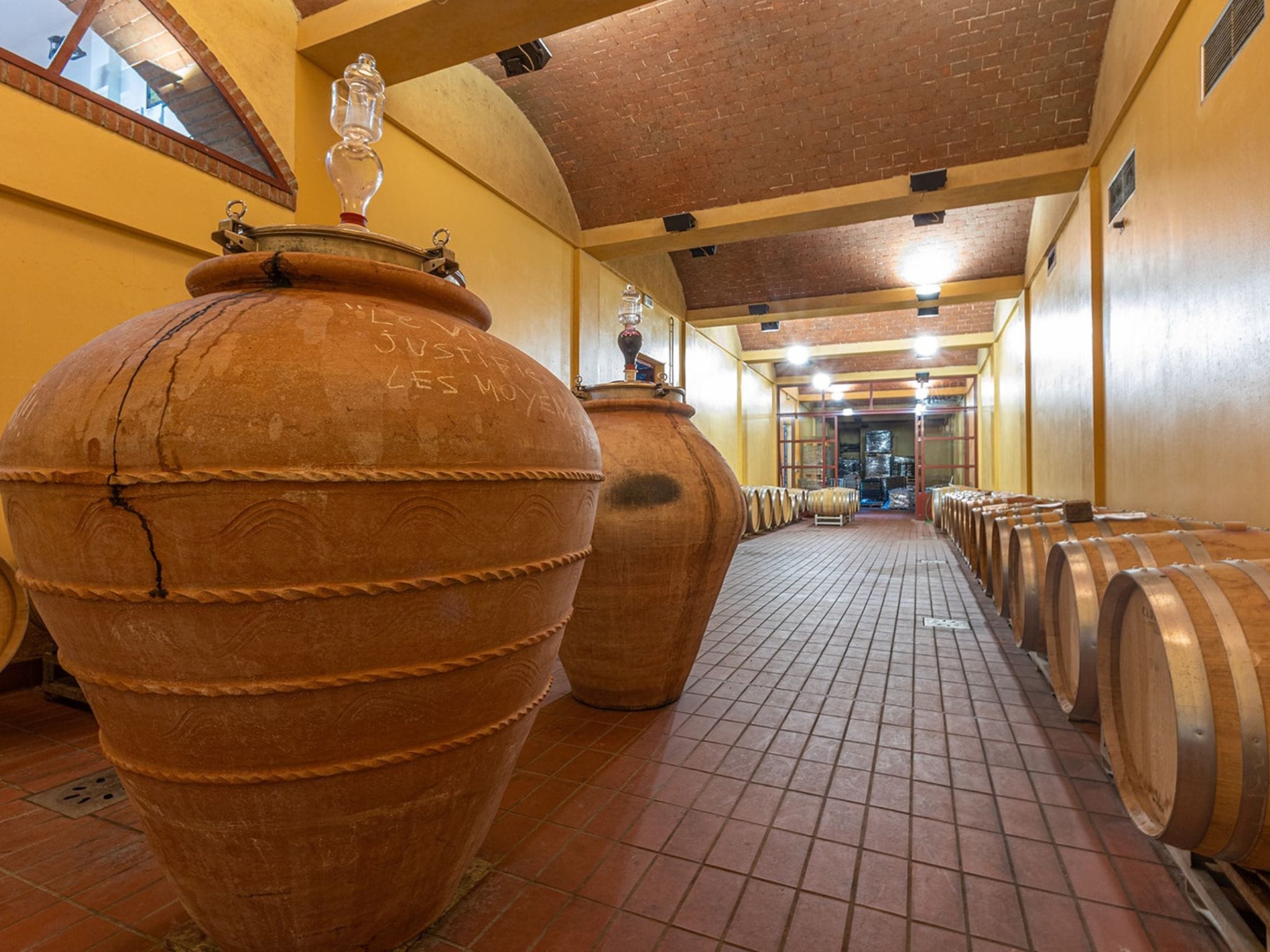 Winery Tour & Wine Tasting with Food near Livorno & Pisa