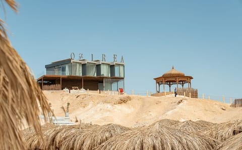 Private Speedboat Snorkeling Tour to Ozirea Island from Hurghada