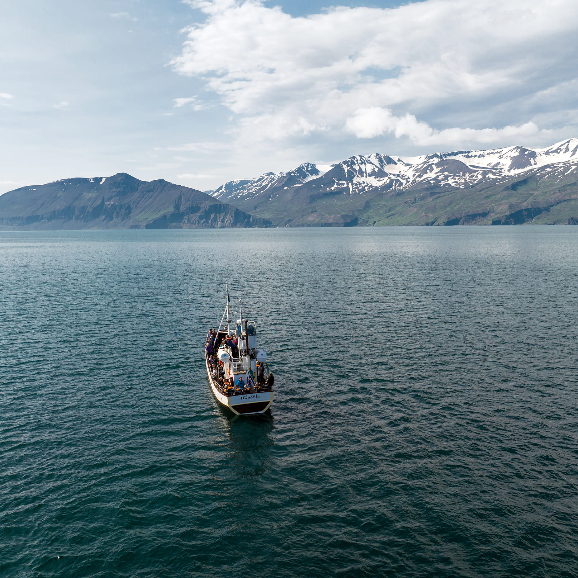 Gentle Giants Whale Watching from Husavik, Iceland - GG3 Whales and Horses with a local Family Company